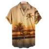 Limited Edition Hawaiian Shirt Hot Summer 2025 - DN9050560