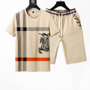 2025 Burberry Tracksuits for men - DN22406
