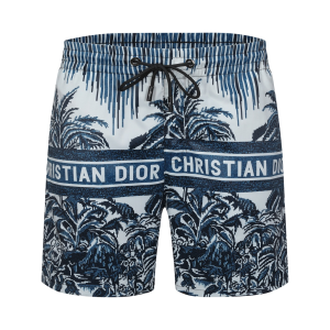 Limited Edition DIOR Beach Shorts - 9alaxies420